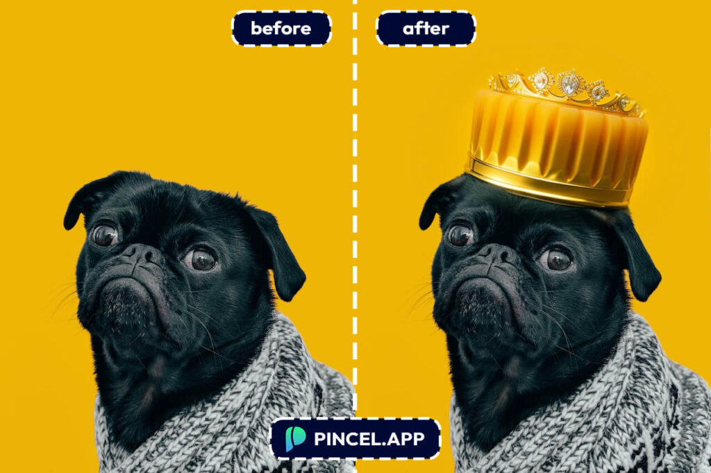 add crown to head funny photo edits