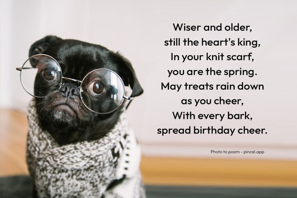 pet birthday card AI poem maker