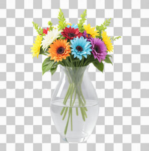 Make a Transparent Background Online - Pincel