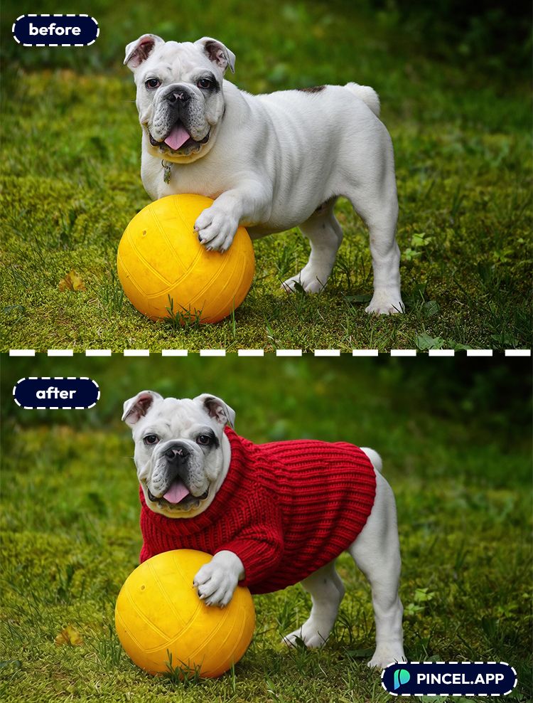 02_before-after-adding-red-sweater-with-pincel-AI-small-dog-playing