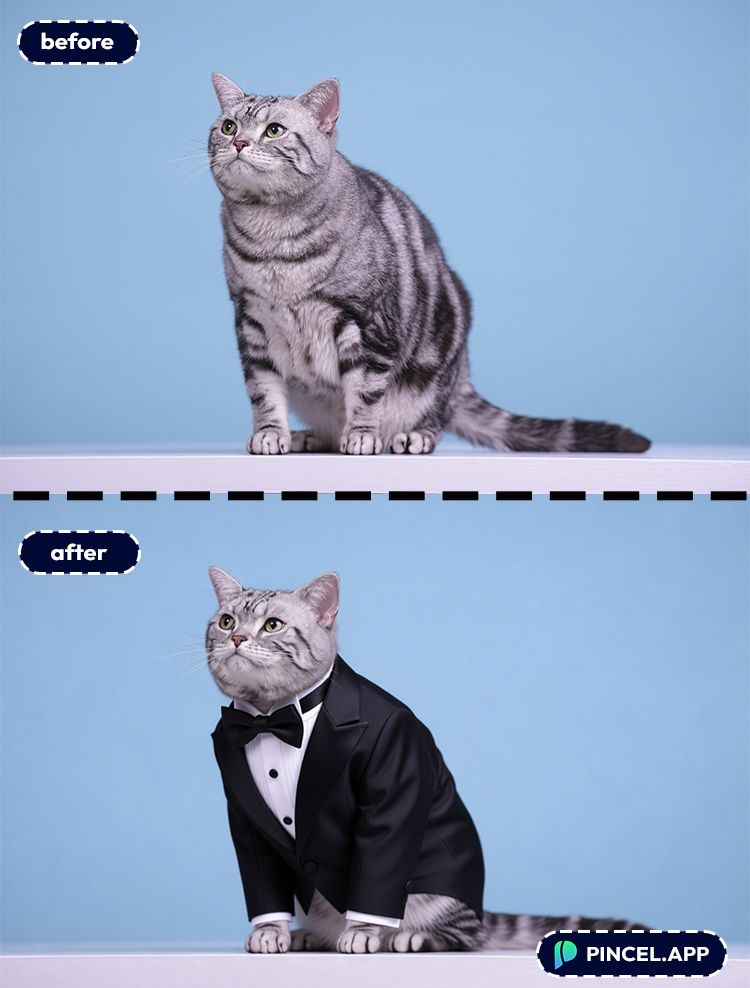 04_before-after-dressing-cat-in-tuxedo-with-pincel-AI-cat-posing