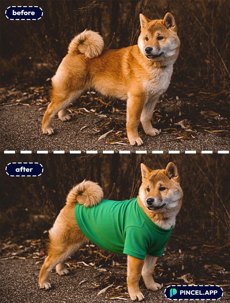 Instantly Add Clothes to Pet Photos with AI - Pincel
