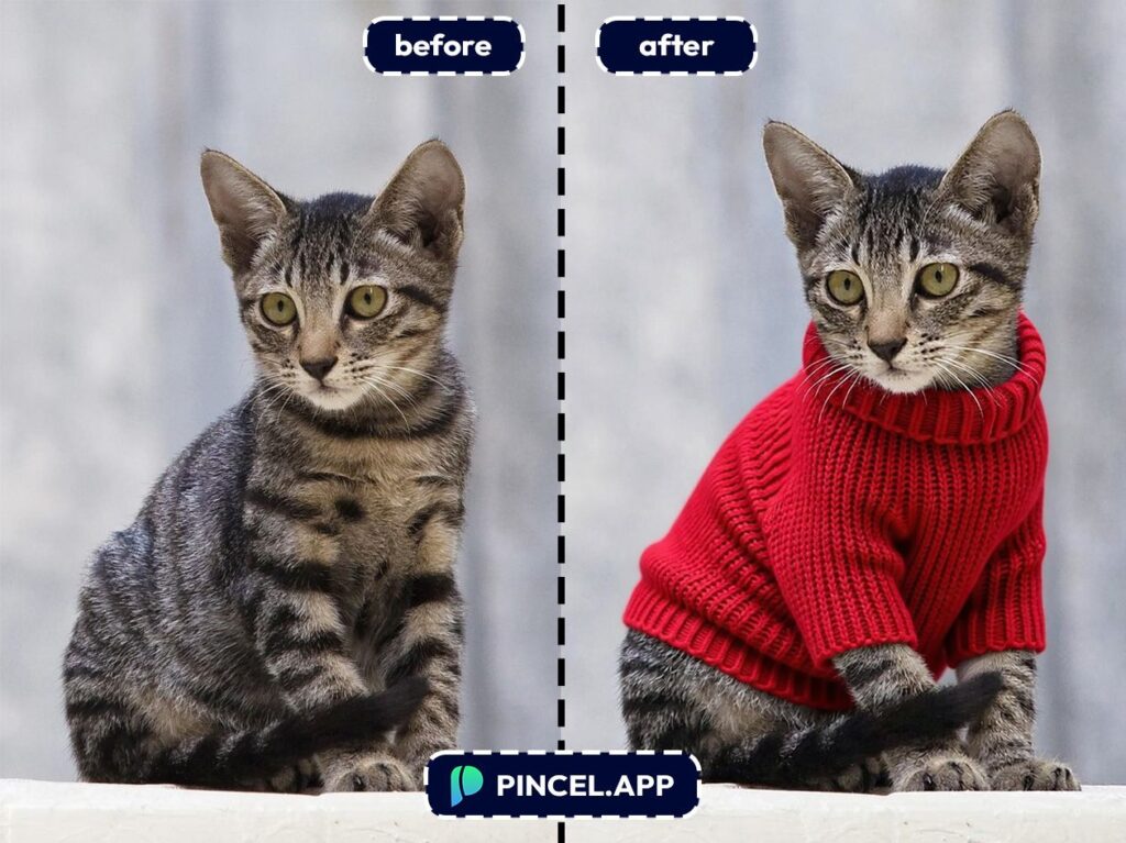 06_before-after-adding-red-sweater-with-pincel-AI-cat-sitting