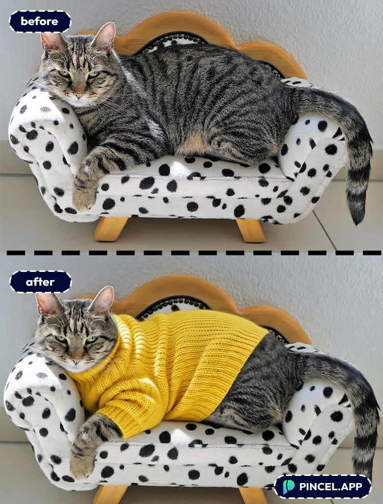07_before-after-dressing-cat-in-yellow-dress-with-pincel-AI-cat-on-sofa