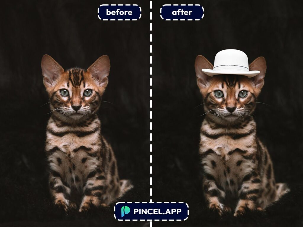06_before-after-adding-headwear-to-pet-with-pincel-AI-mini-cat
