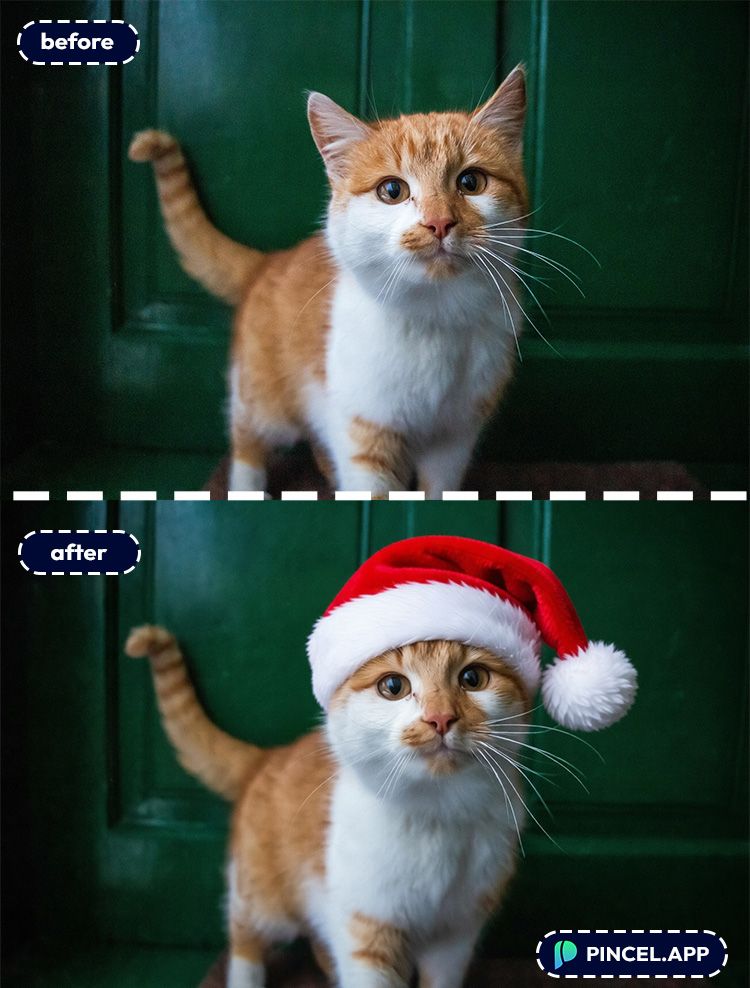 08_before-after-adding-headwear-to-pet-with-pincel-AI-cat-in-santa-outfit

