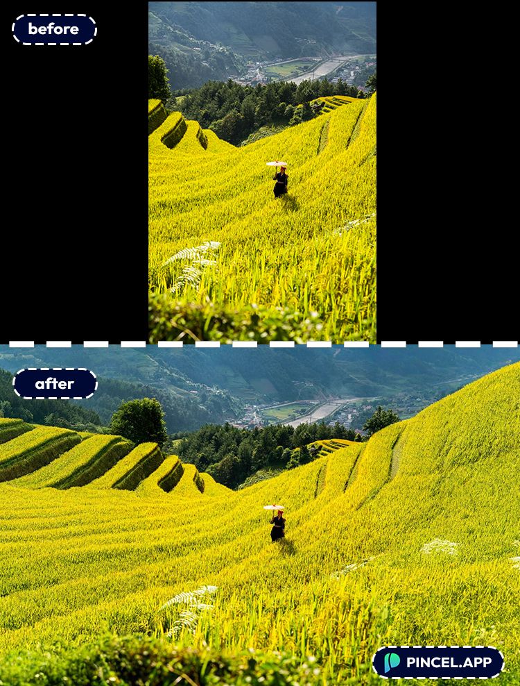 07_before-after-turning-portrait-into-landscape-with-pincel-AI-paddy-field
